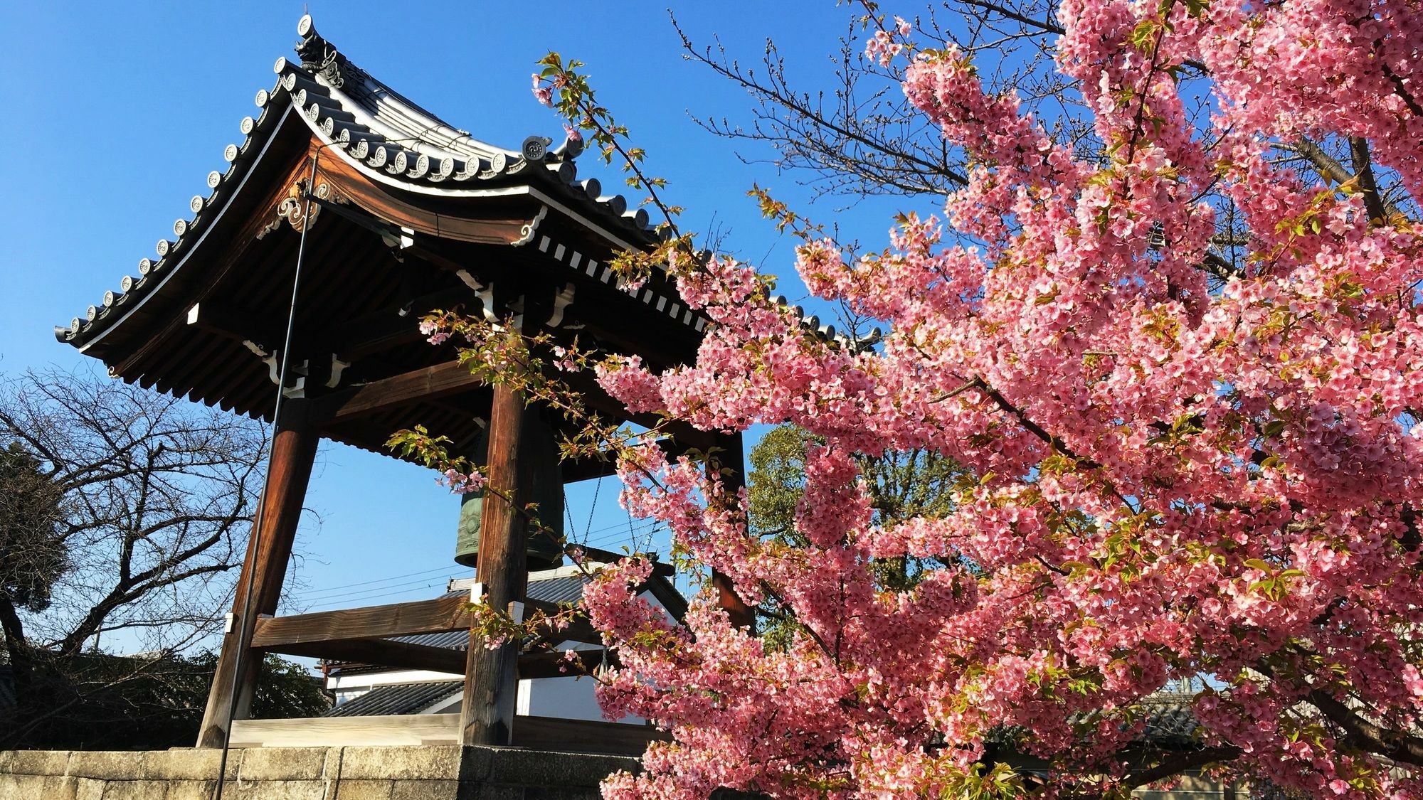 Stay Sakura Kyoto Toji West I Eksteriør billede