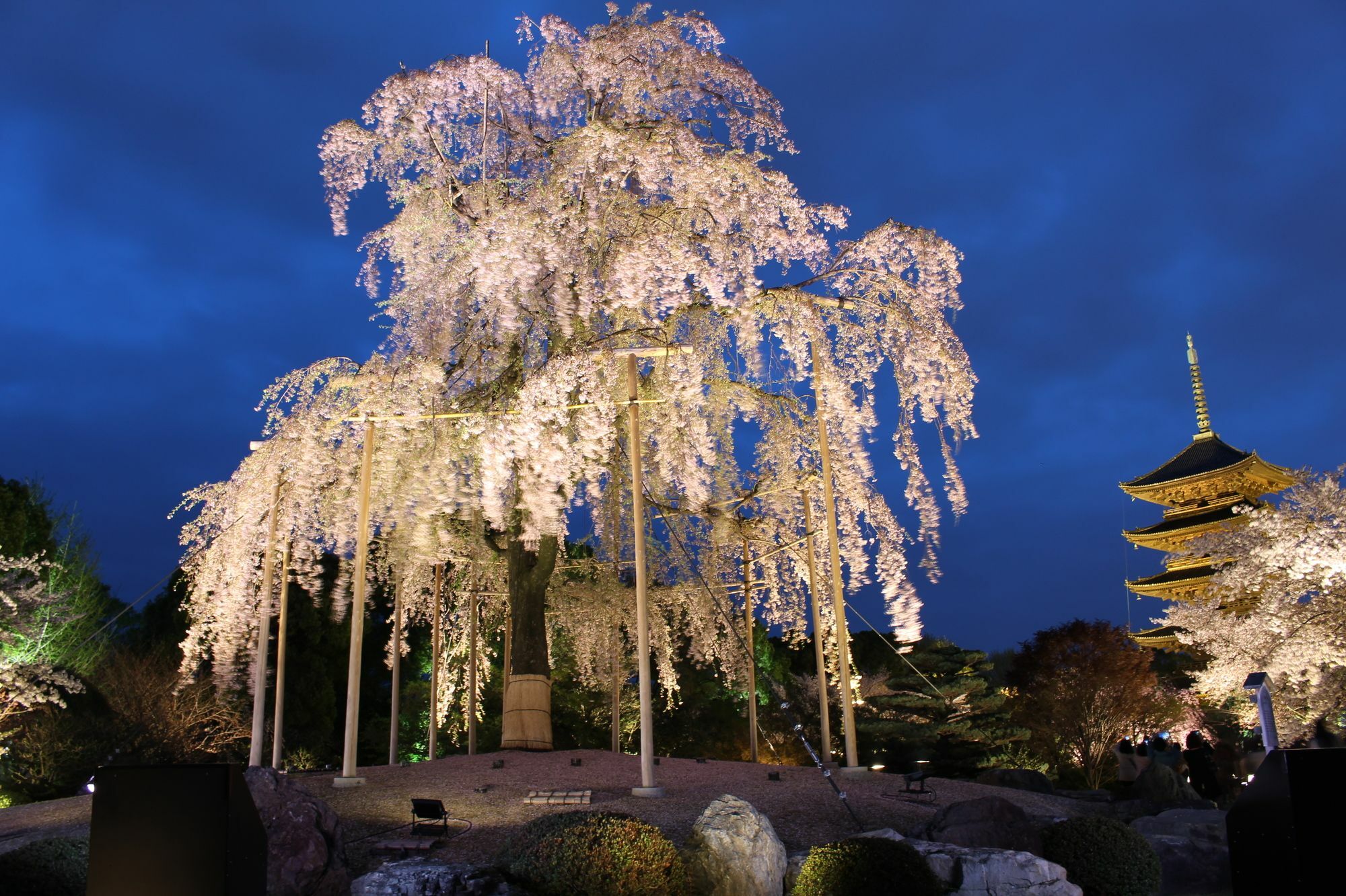 Stay Sakura Kyoto Toji West I Eksteriør billede