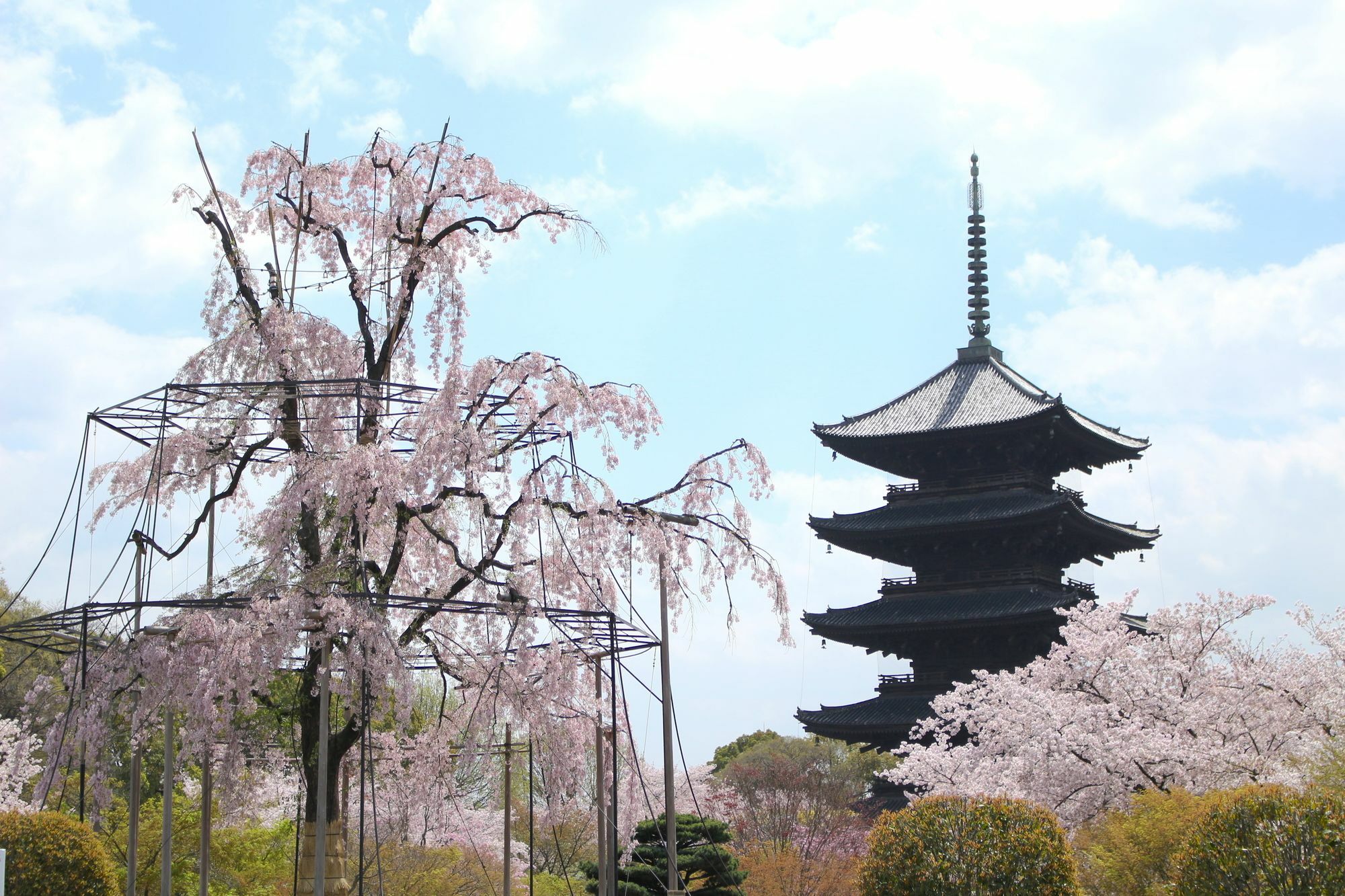 Stay Sakura Kyoto Toji West I Eksteriør billede