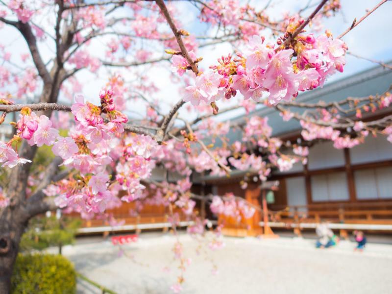 Stay Sakura Kyoto Toji West I Eksteriør billede