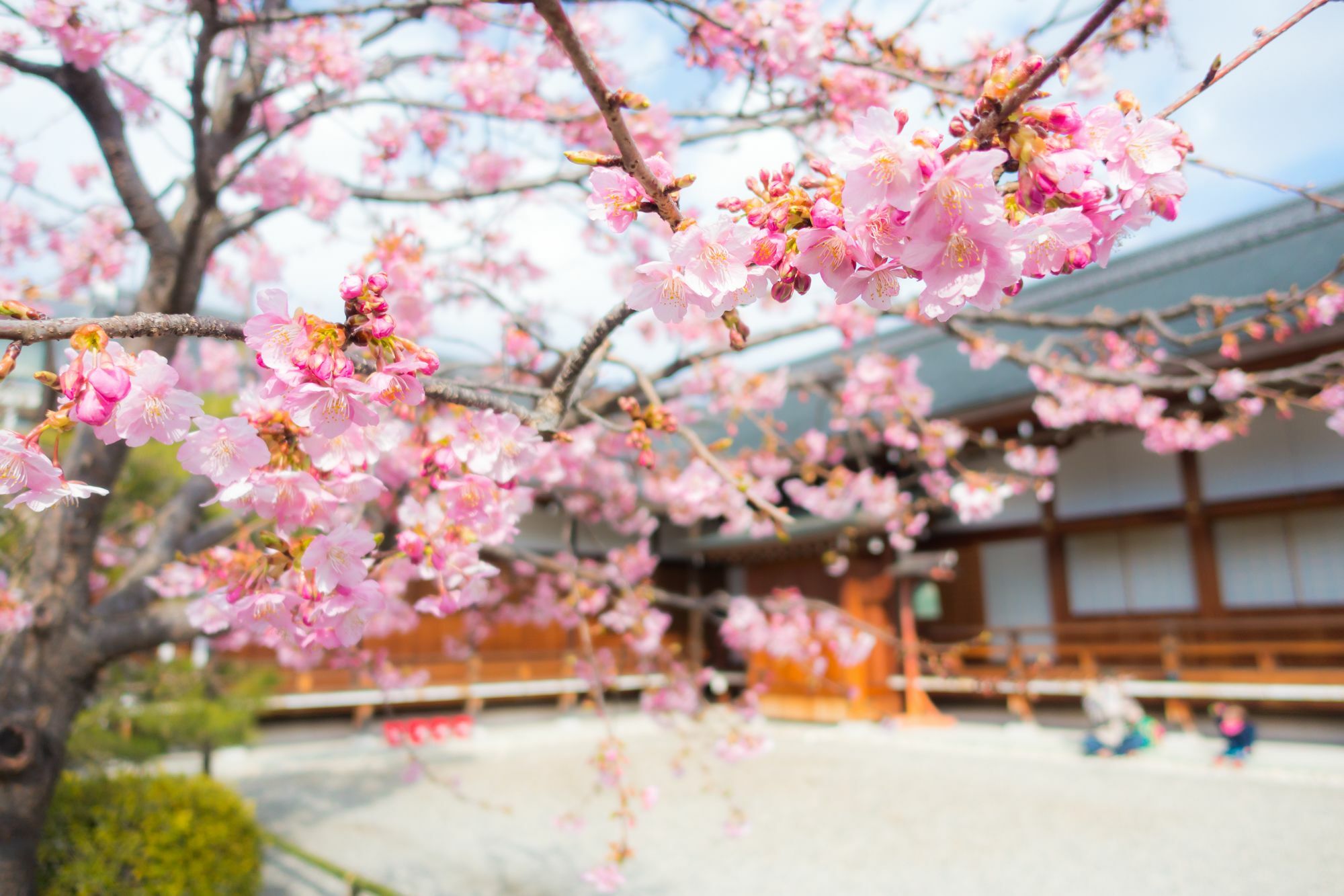 Stay Sakura Kyoto Toji West I Eksteriør billede